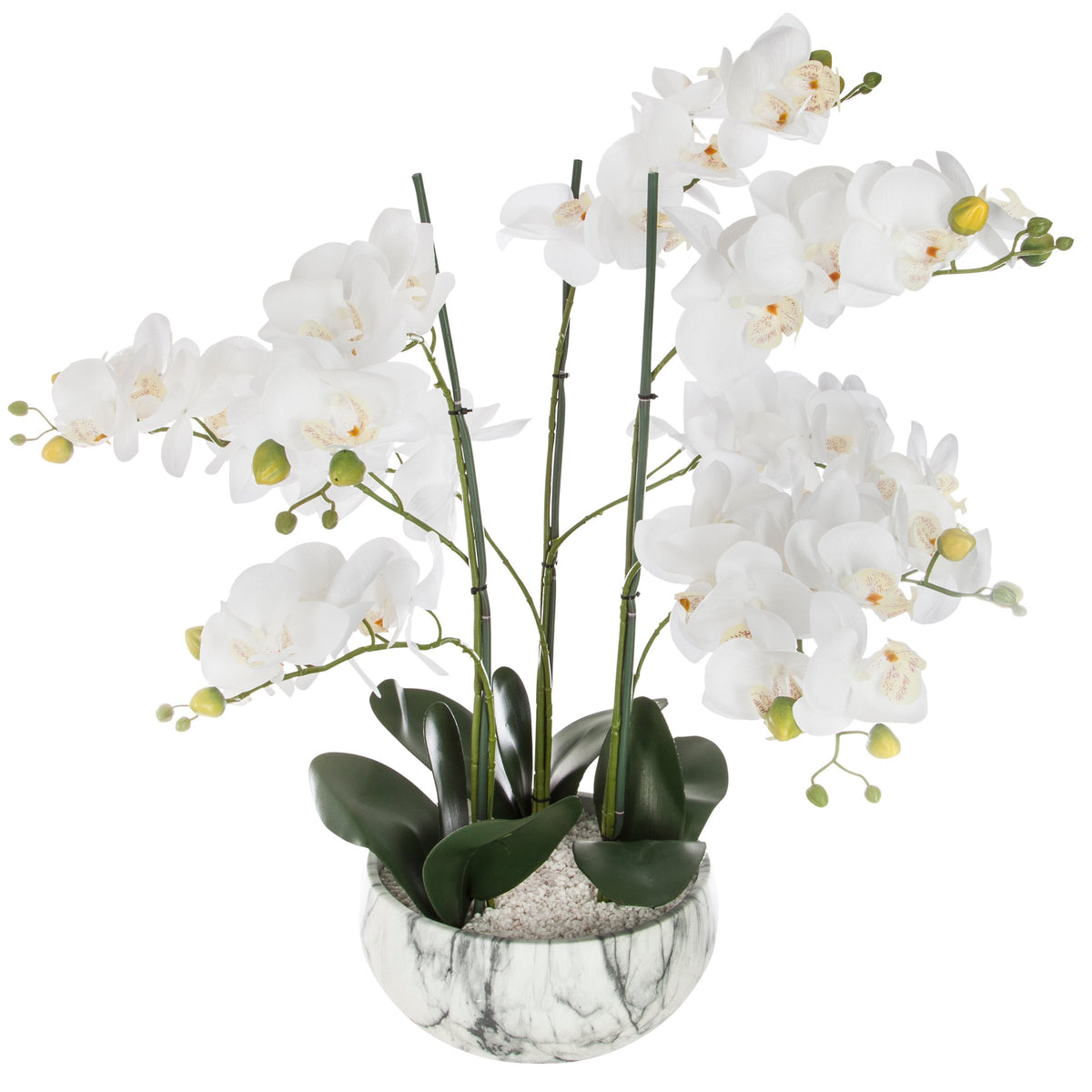 Orhidee 65 cm inaltime cu ghiveci din ciment efect marmura Atmosphera