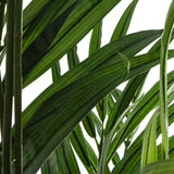 Palmier Areca cu ghiveci 230 cm inaltime Atmosphera