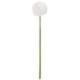 Floare decorativa, daisy tulpina bila loty H60 cm - Atmosphera