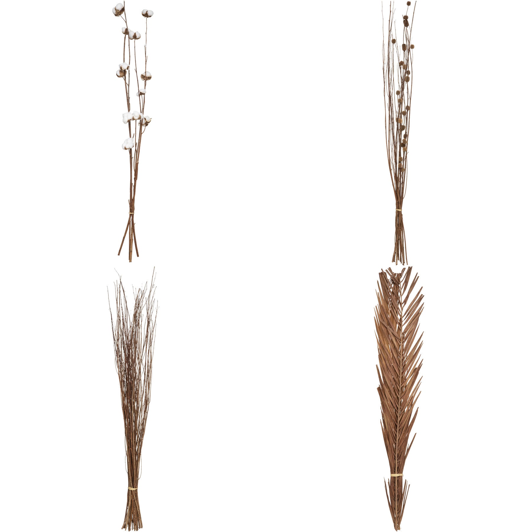 Floare decorativa, tulpini uscate natur - Atmosphera