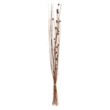 Floare decorativa, tulpini uscate natur - Atmosphera