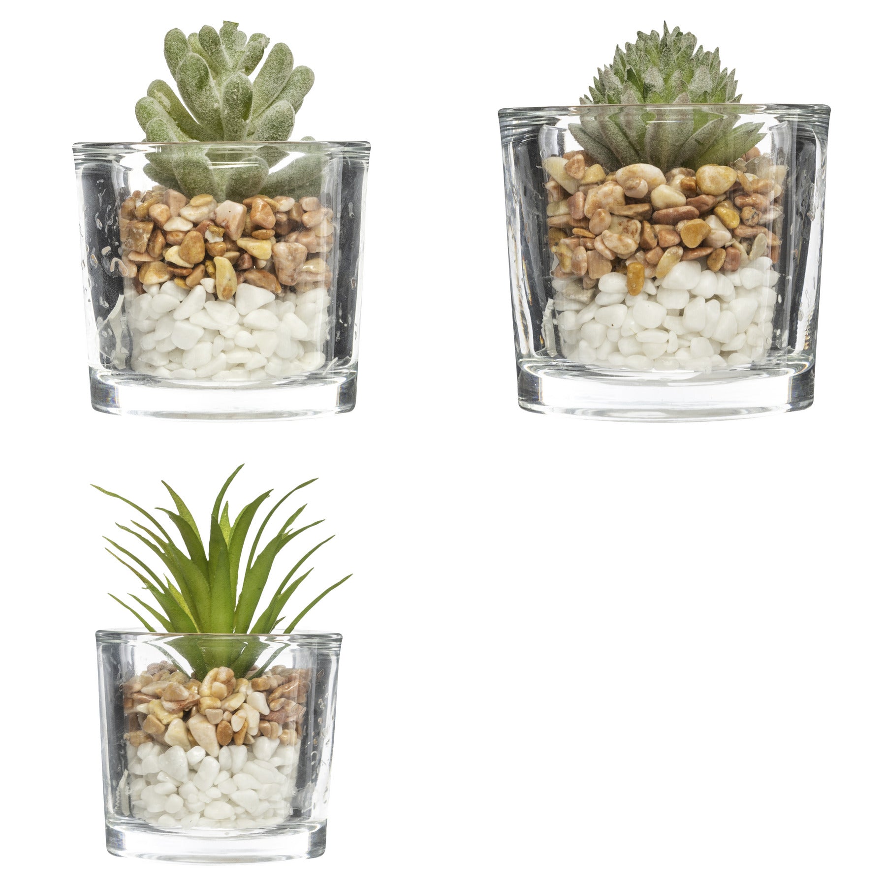 Pahar cu planta - Atmosphera