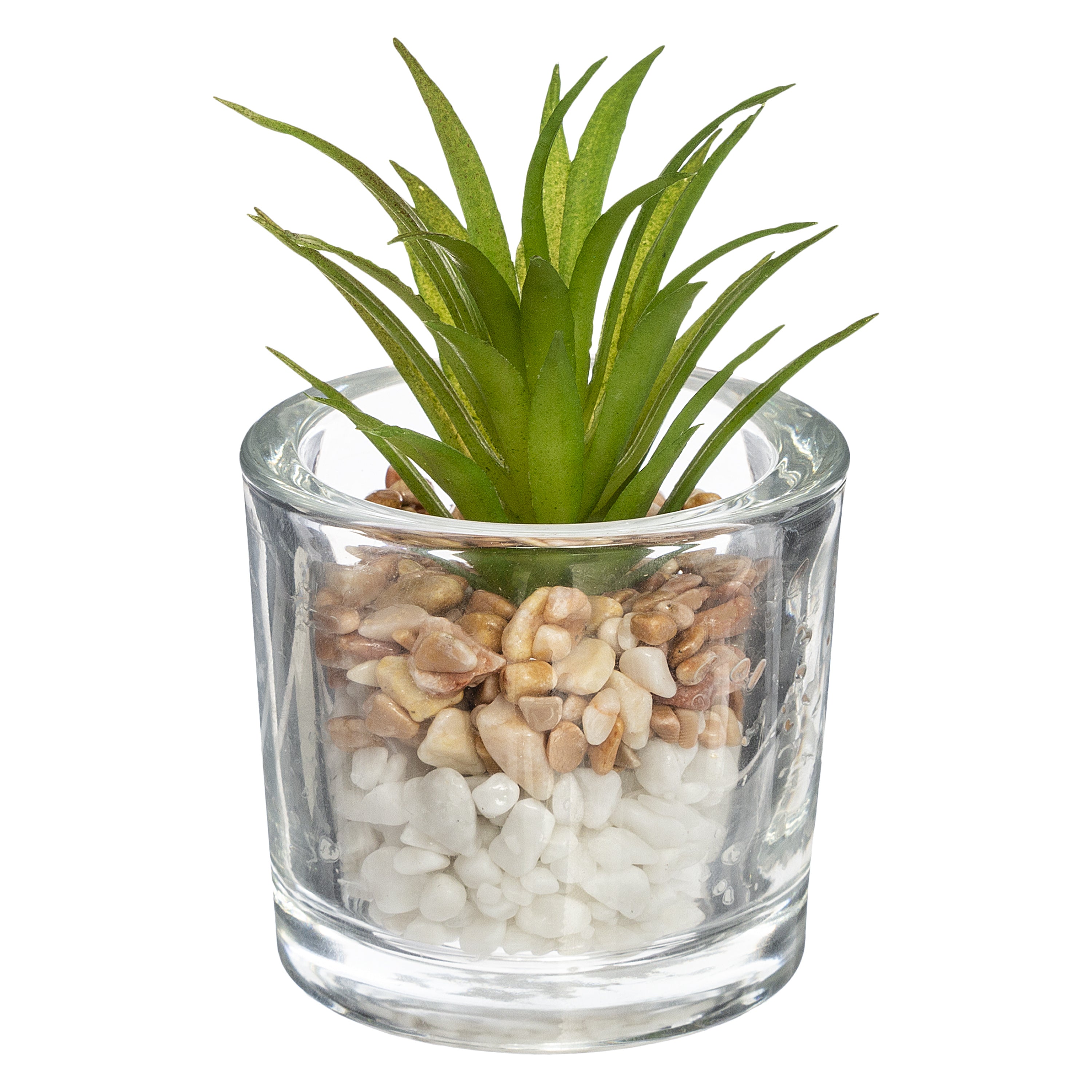 Pahar cu planta - Atmosphera