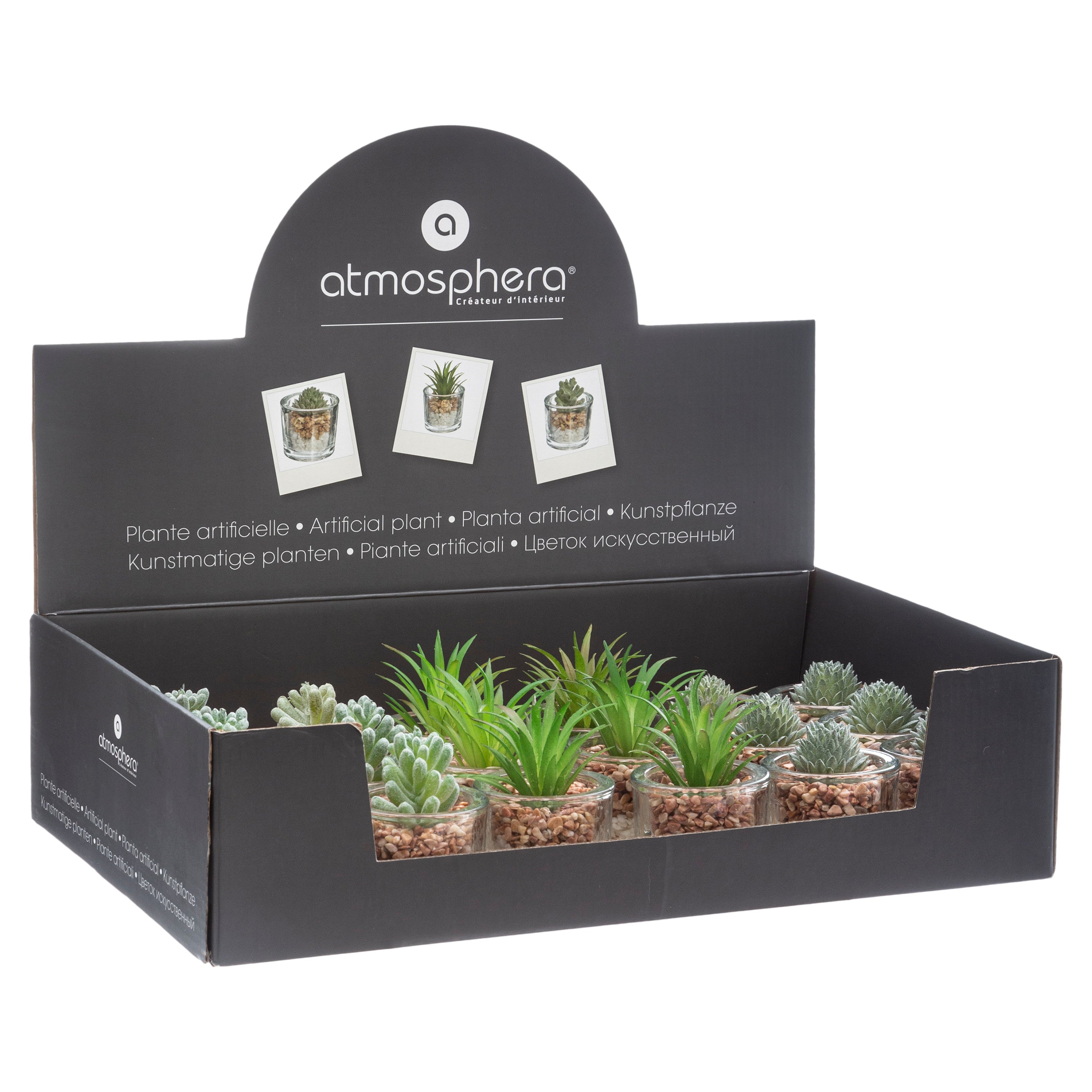 Pahar cu planta - Atmosphera