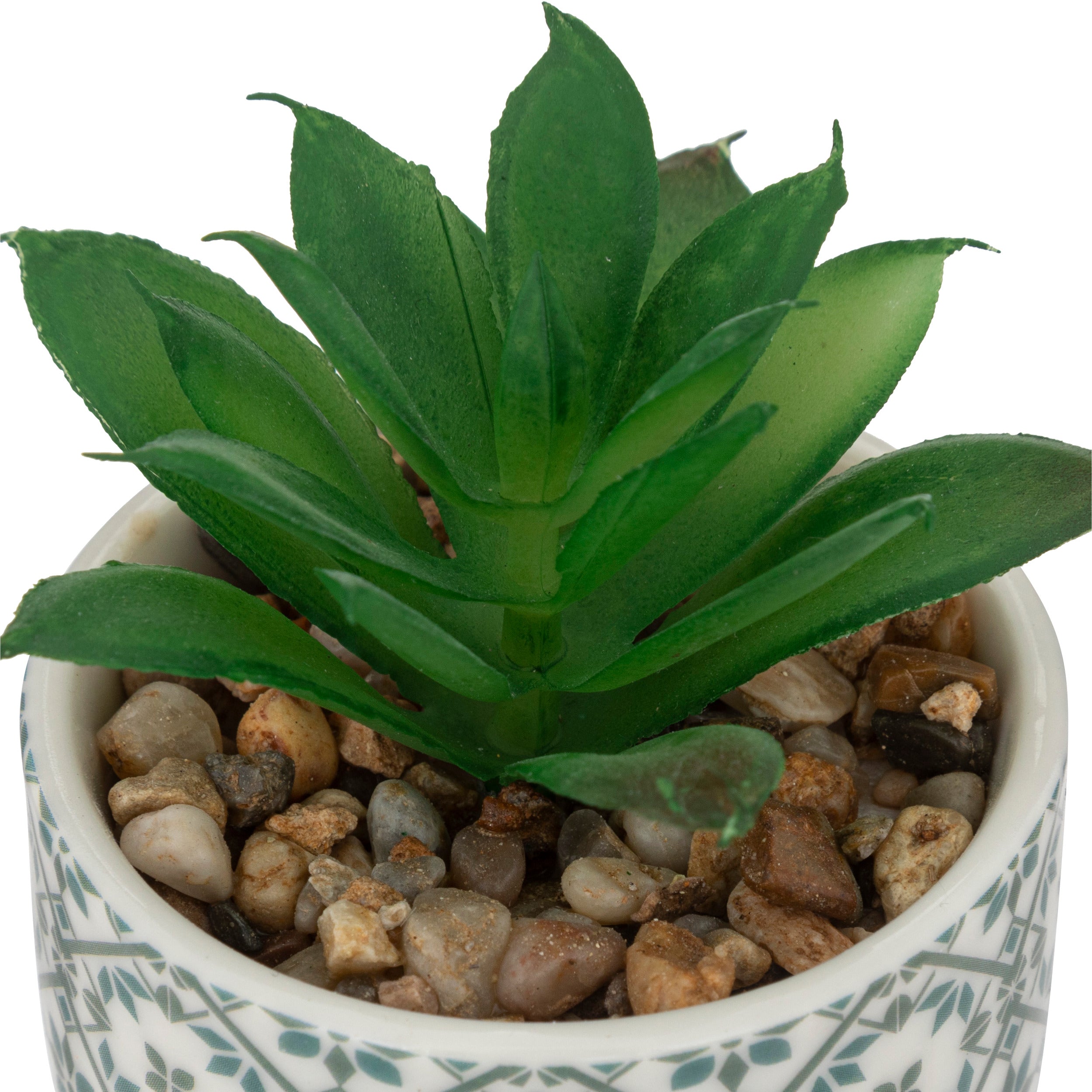 Floare decorativa, planta cu ghiveci ceramica imprimat D5,5 cm - Atmosphera