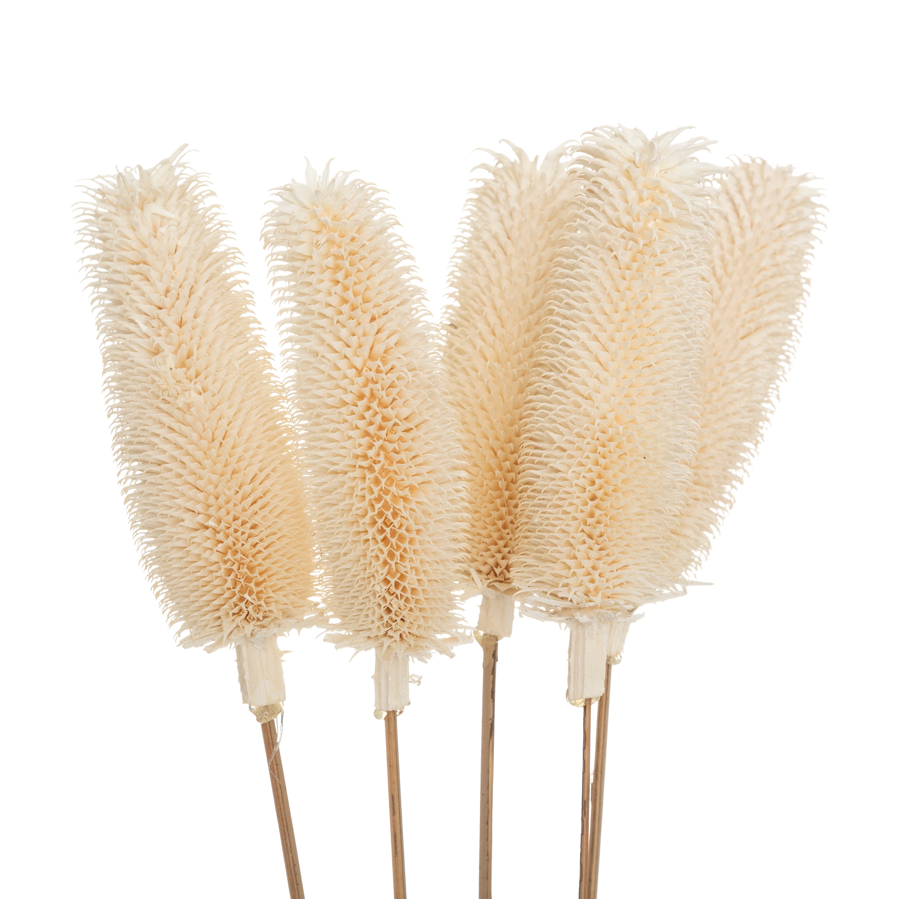 Buchet flori uscate - Atmosphera