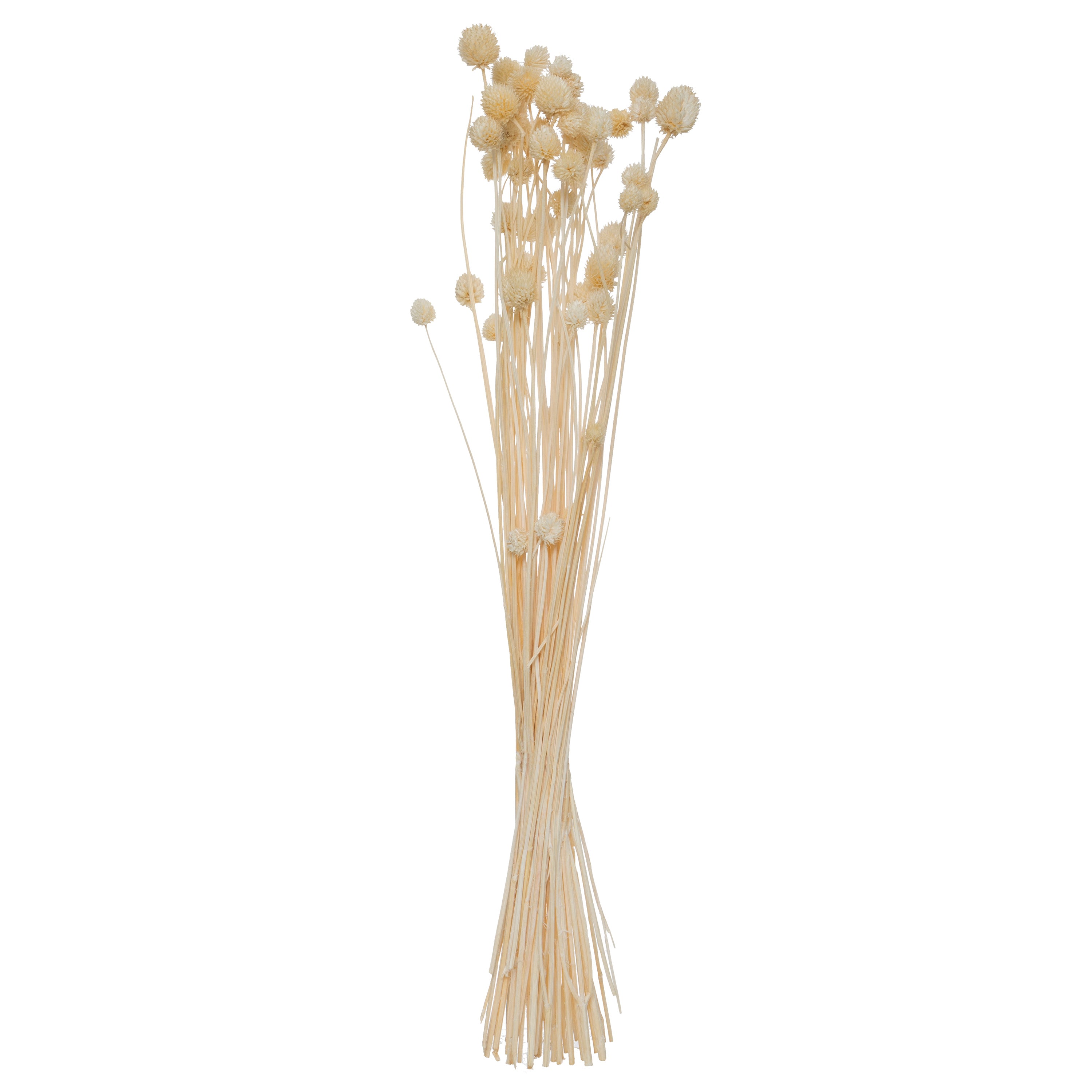 Buchet flori uscate - Atmosphera