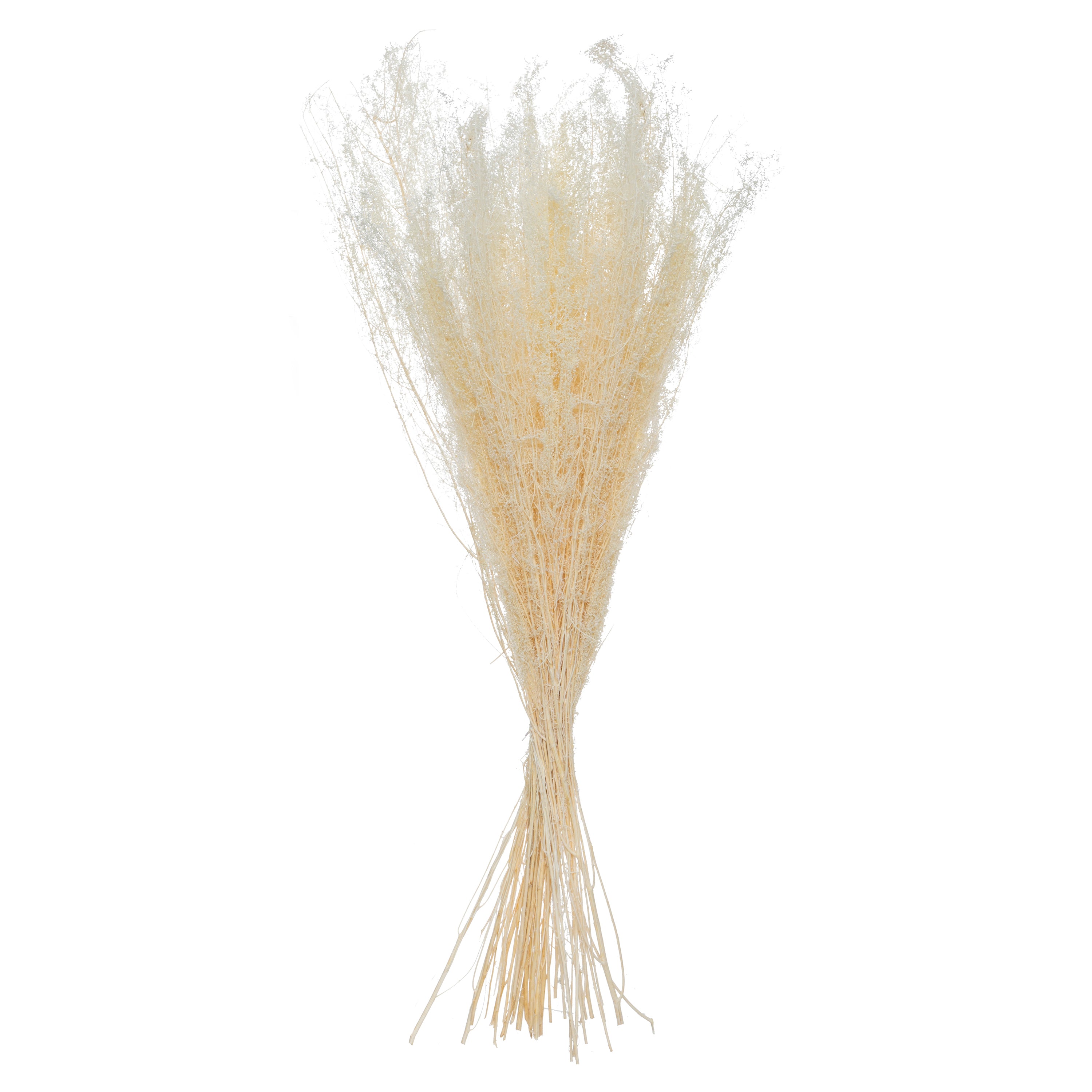 Buchet flori uscate - Atmosphera