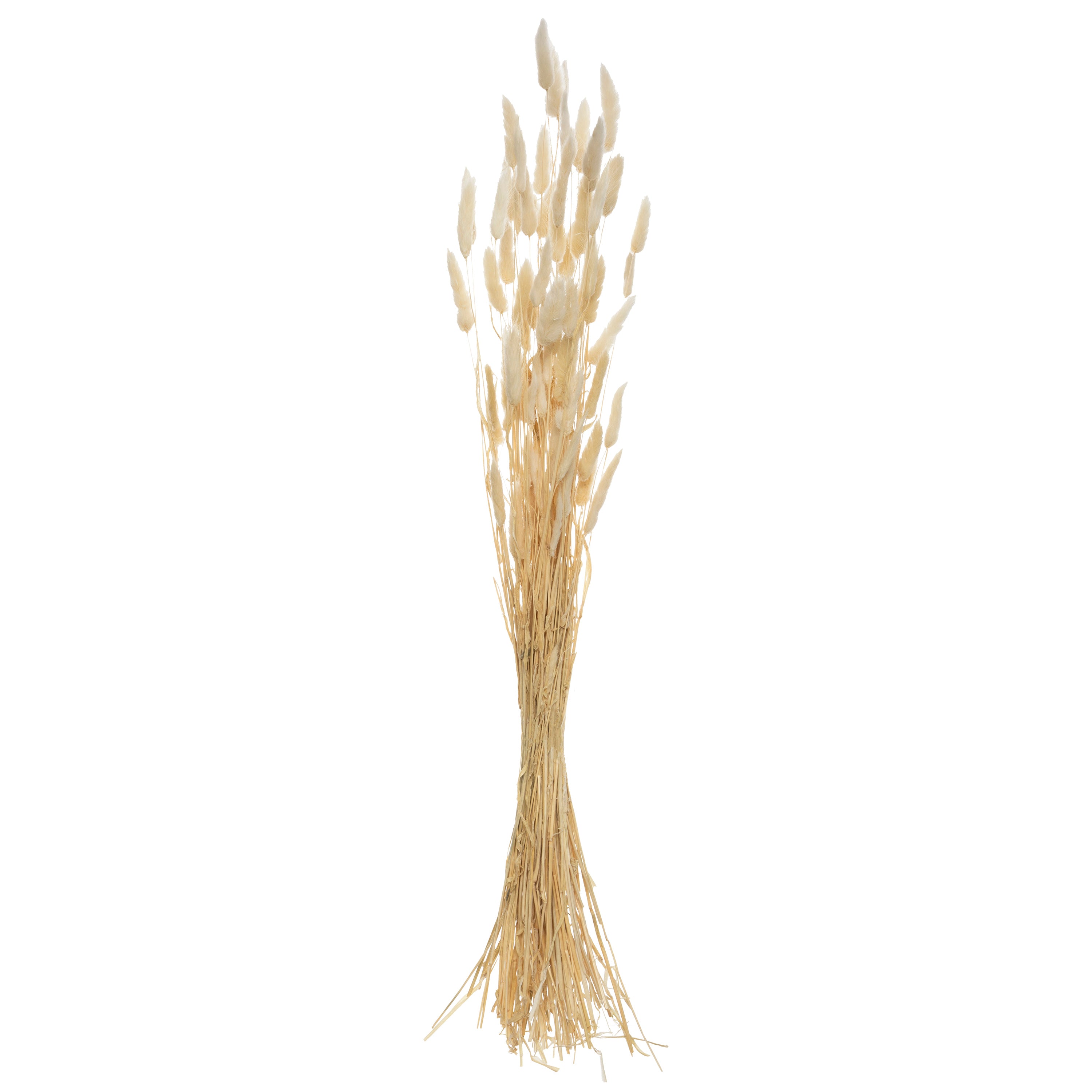 Buchet flori uscate - Atmosphera