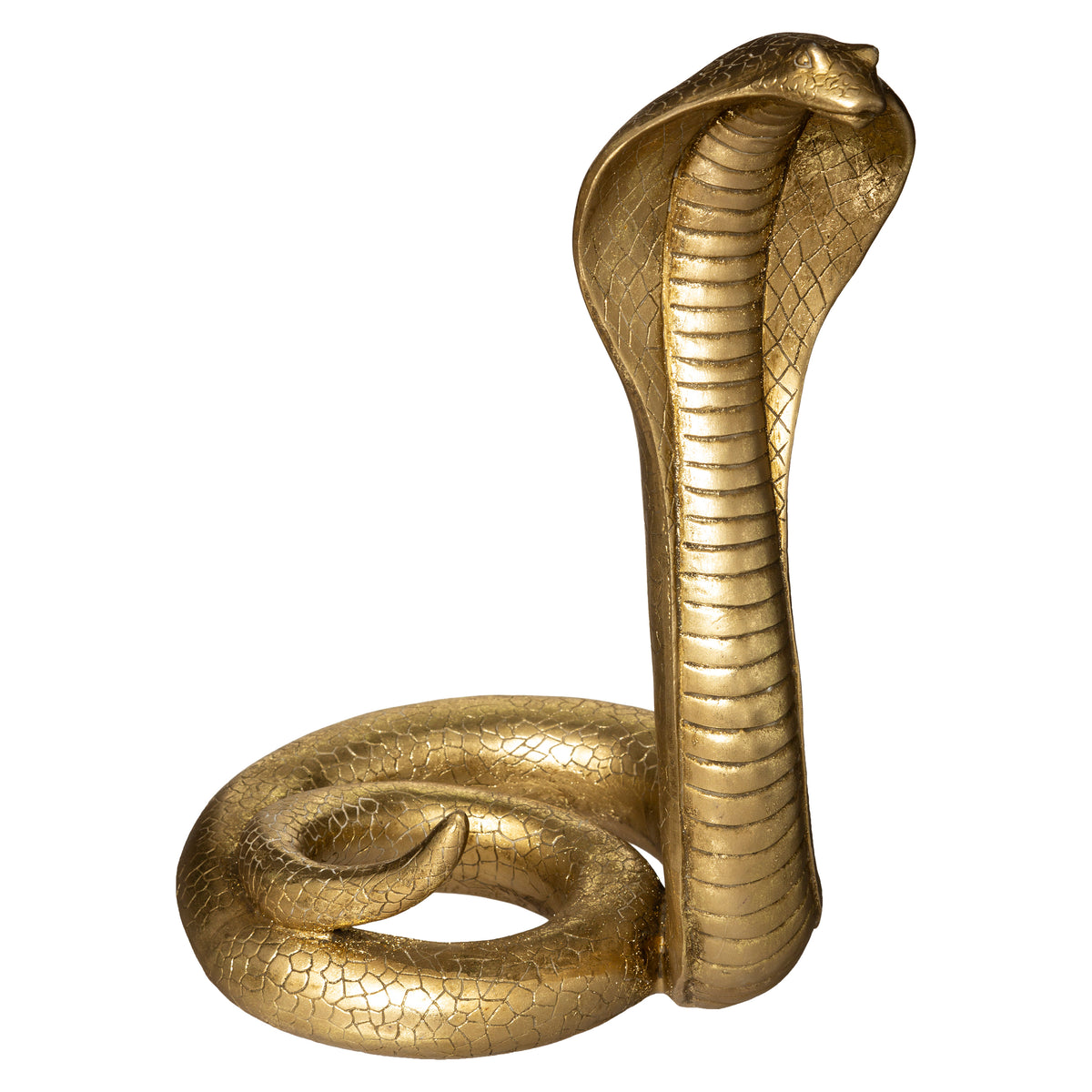 Cobra rasina coco H37 cm - Atmosphera