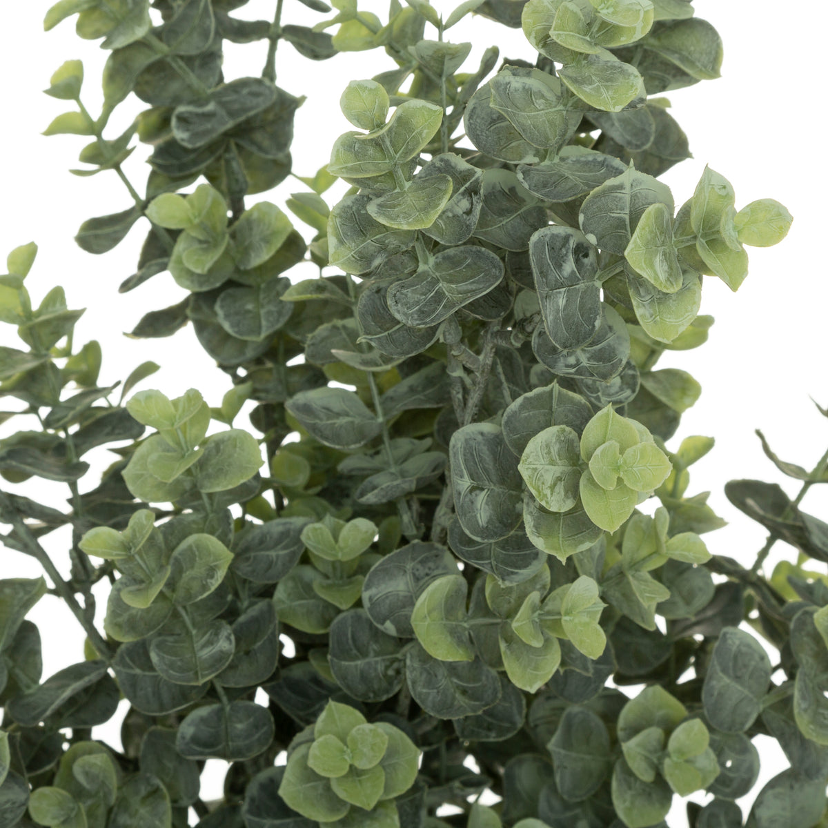 Buchet eucalipt H64 cm - Atmosphera
