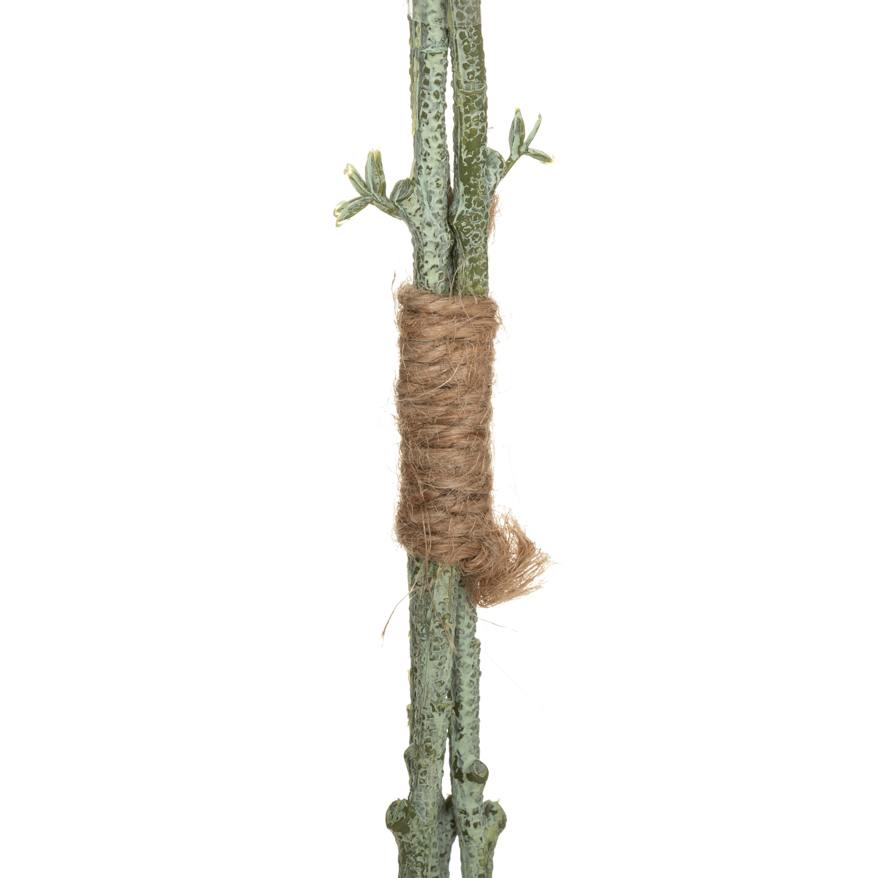 Buchet eucalipt H64 cm - Atmosphera