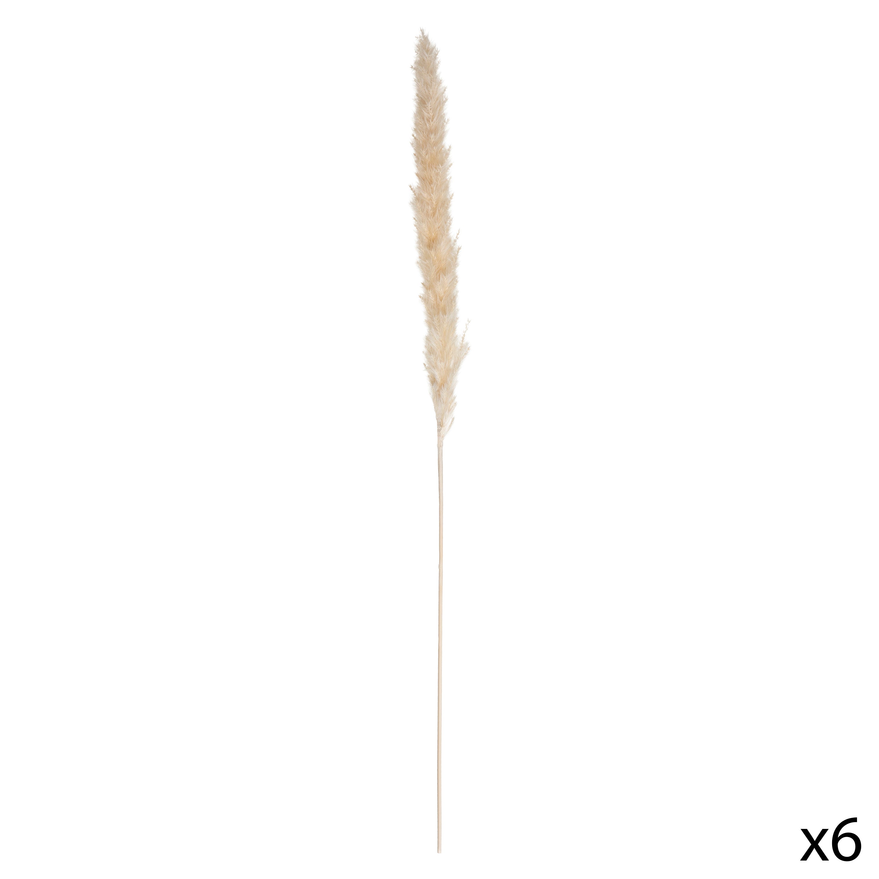Floare decorativa, tija pampa natur set 6 H60 cm - Atmosphera