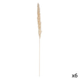 Floare decorativa, tija pampa natur set 6 H60 cm - Atmosphera