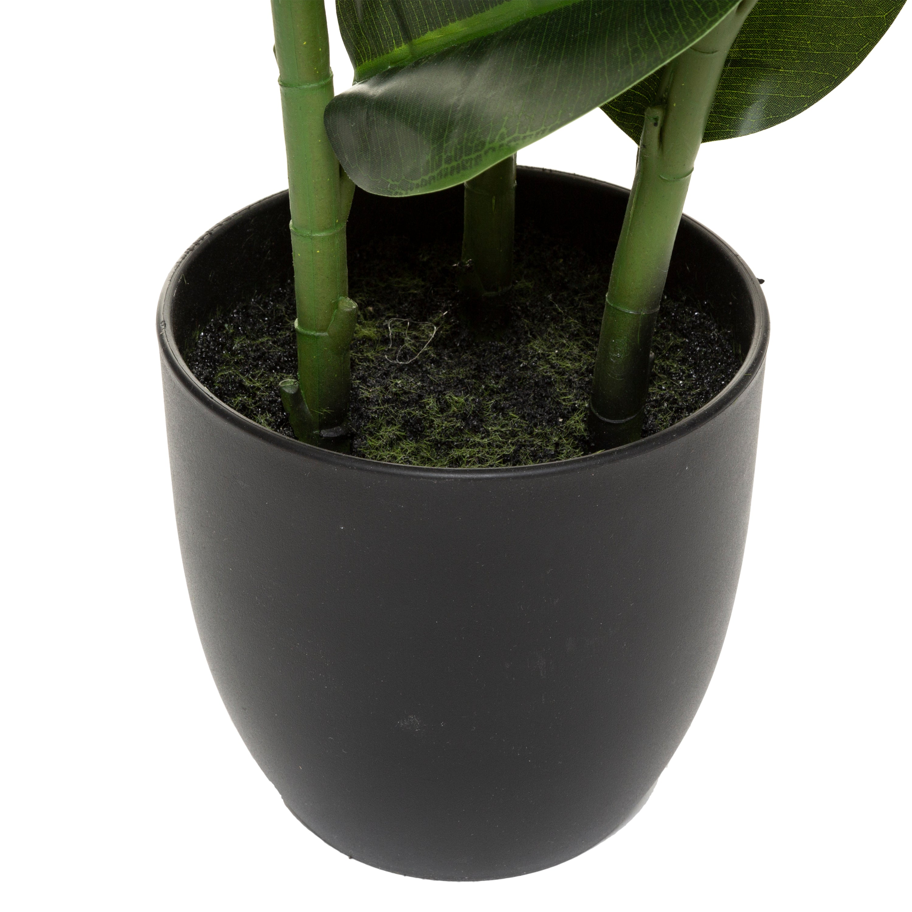 Floare decorativa, ficus robusta H120 cm - Atmosphera