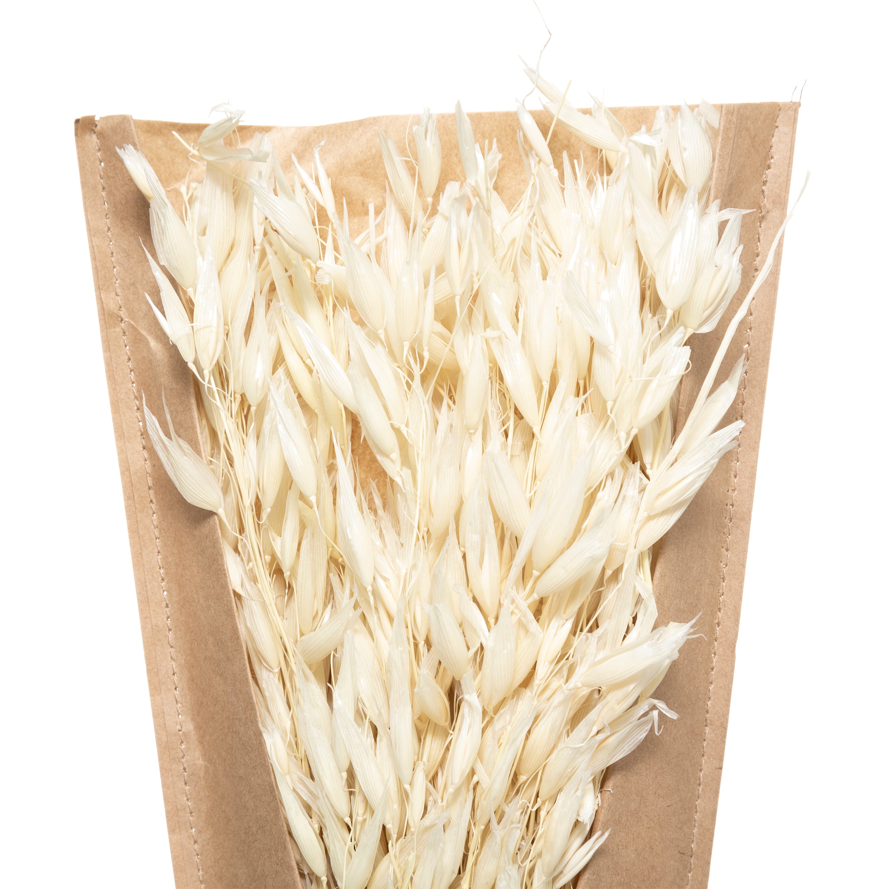 Buchet uscat natur H45 cm - Atmosphera