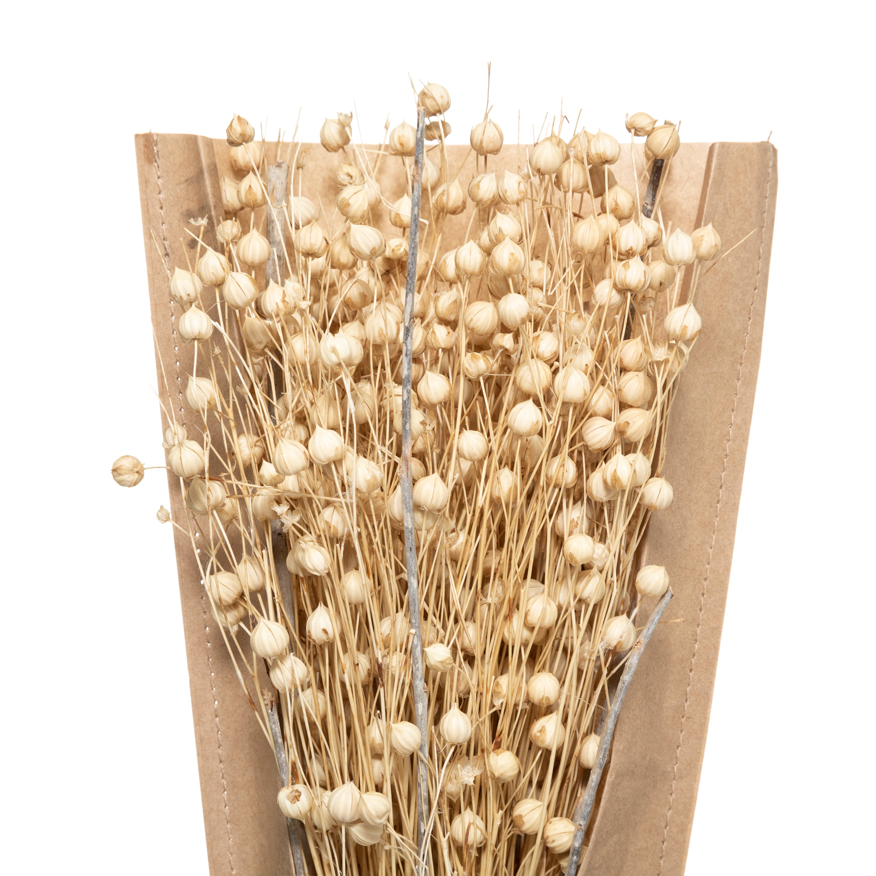 Buchet uscat natur H45 cm - Atmosphera