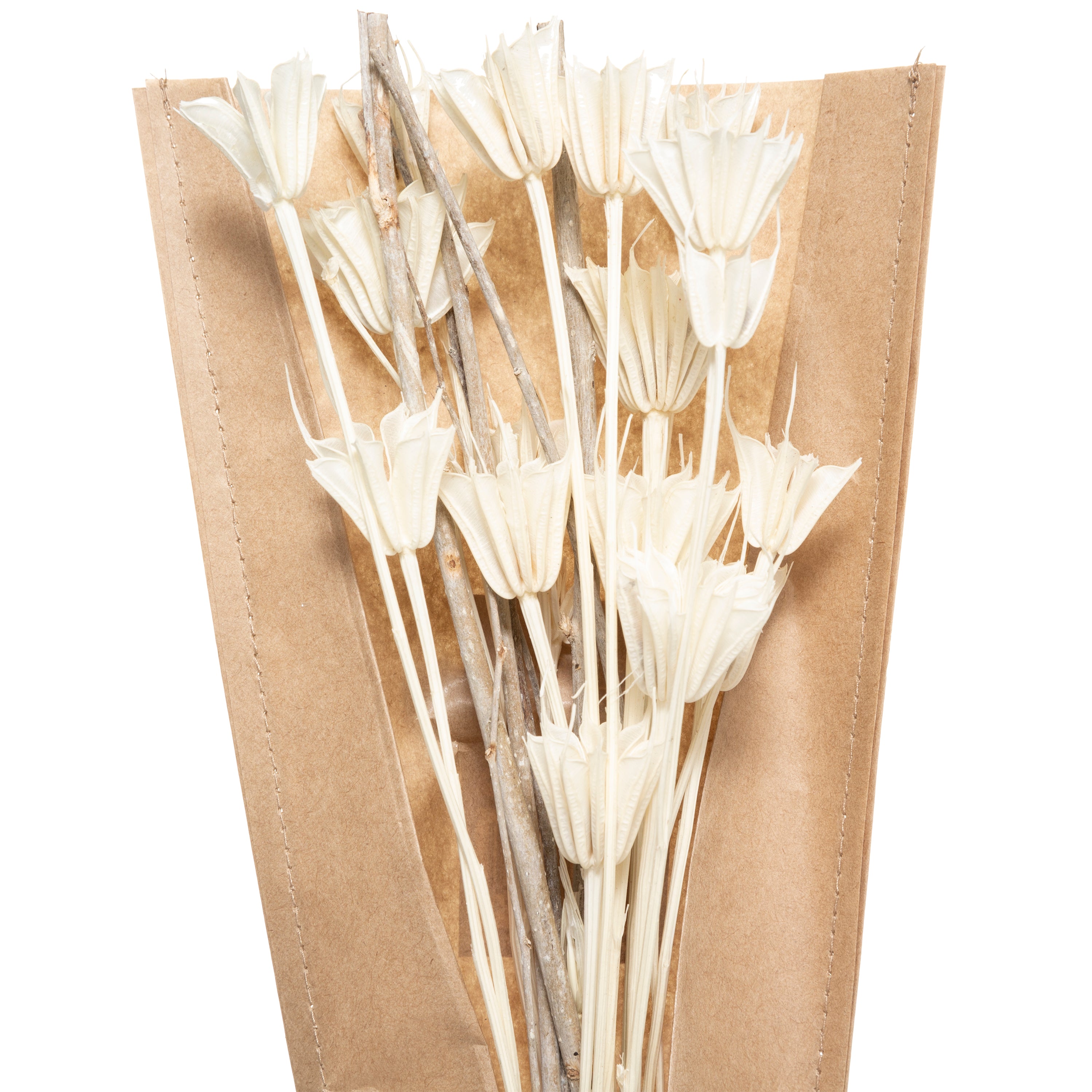 Buchet uscat natur H45 cm - Atmosphera