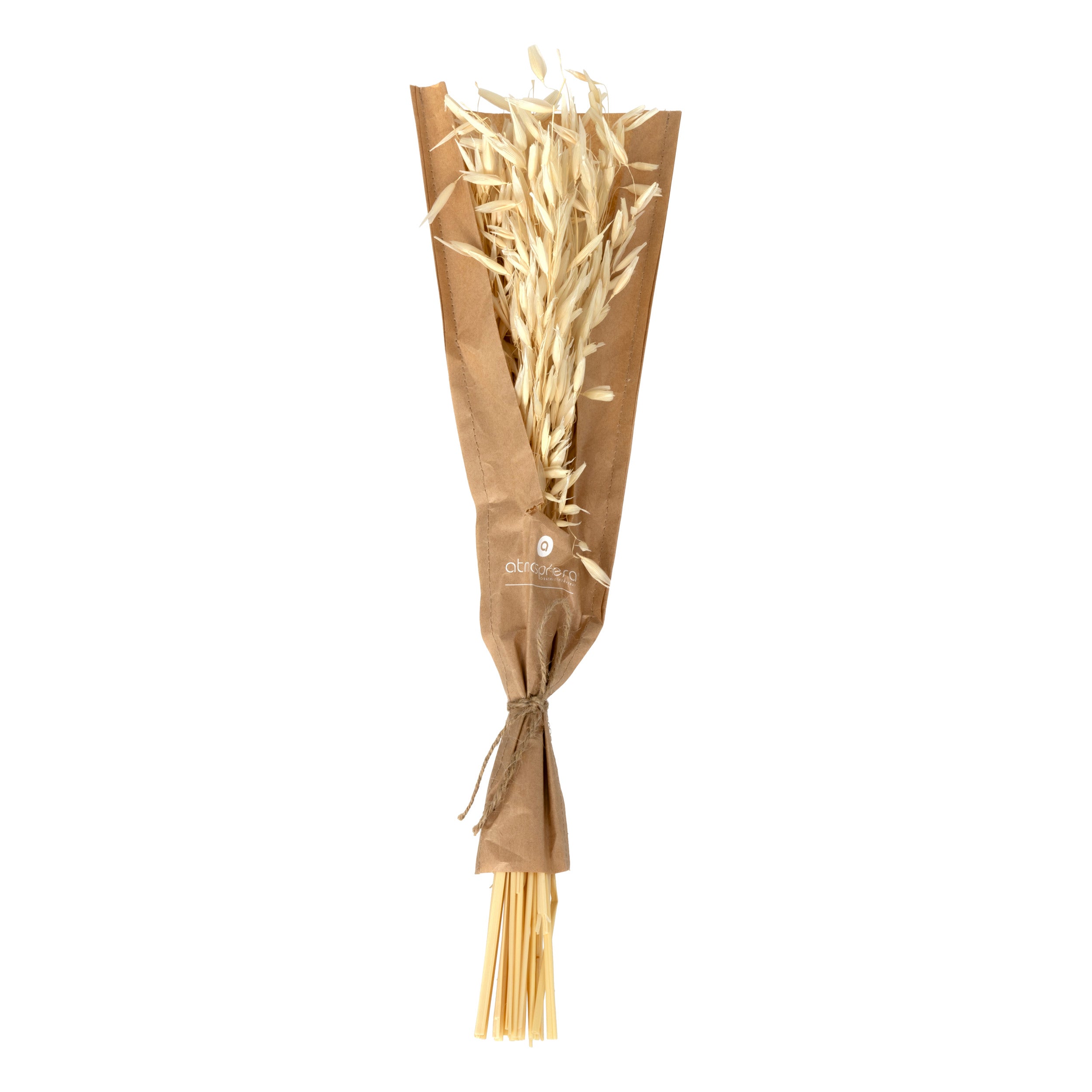 Buchet uscat natur H45 cm - Atmosphera