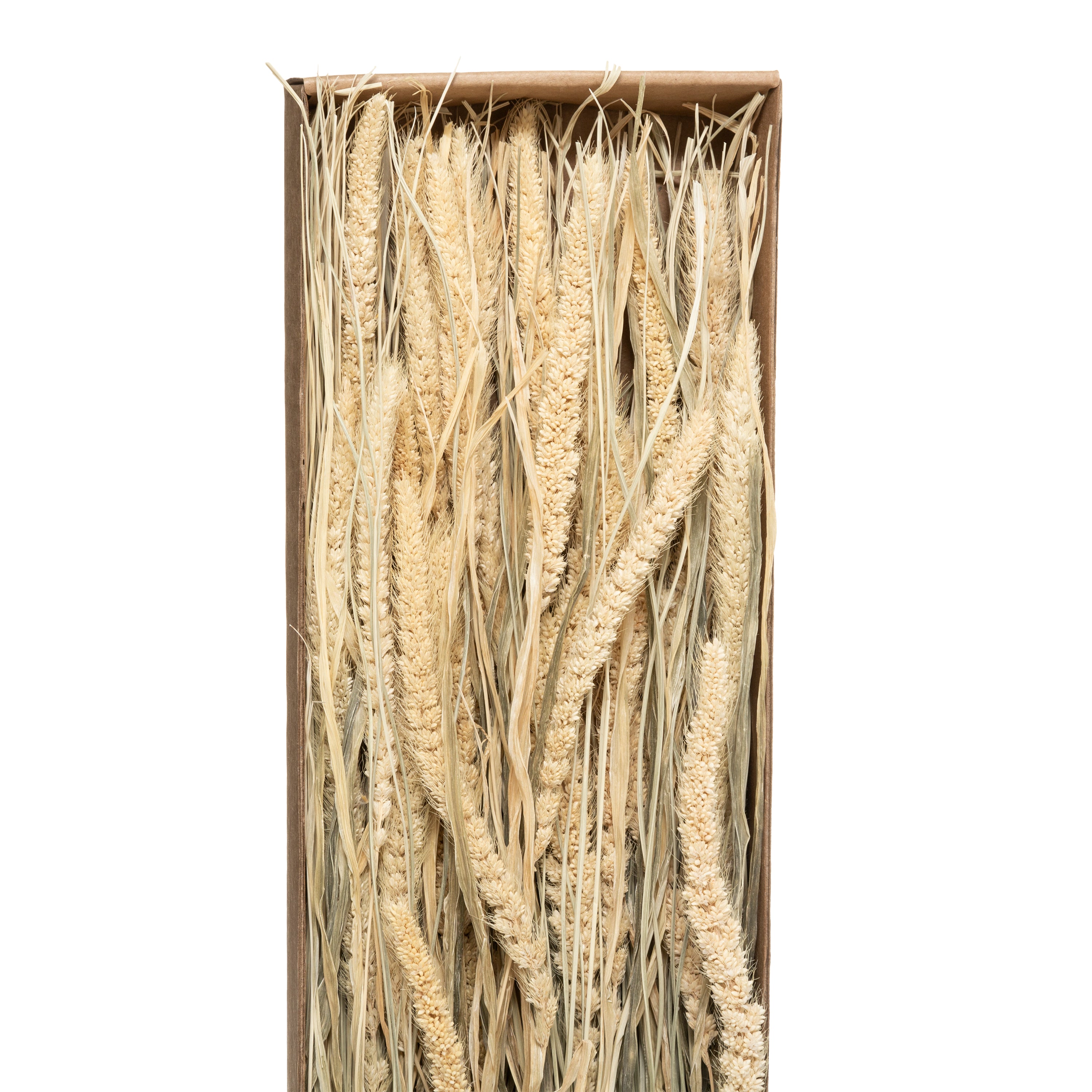 Buchet uscat natur H60 cm - Atmosphera