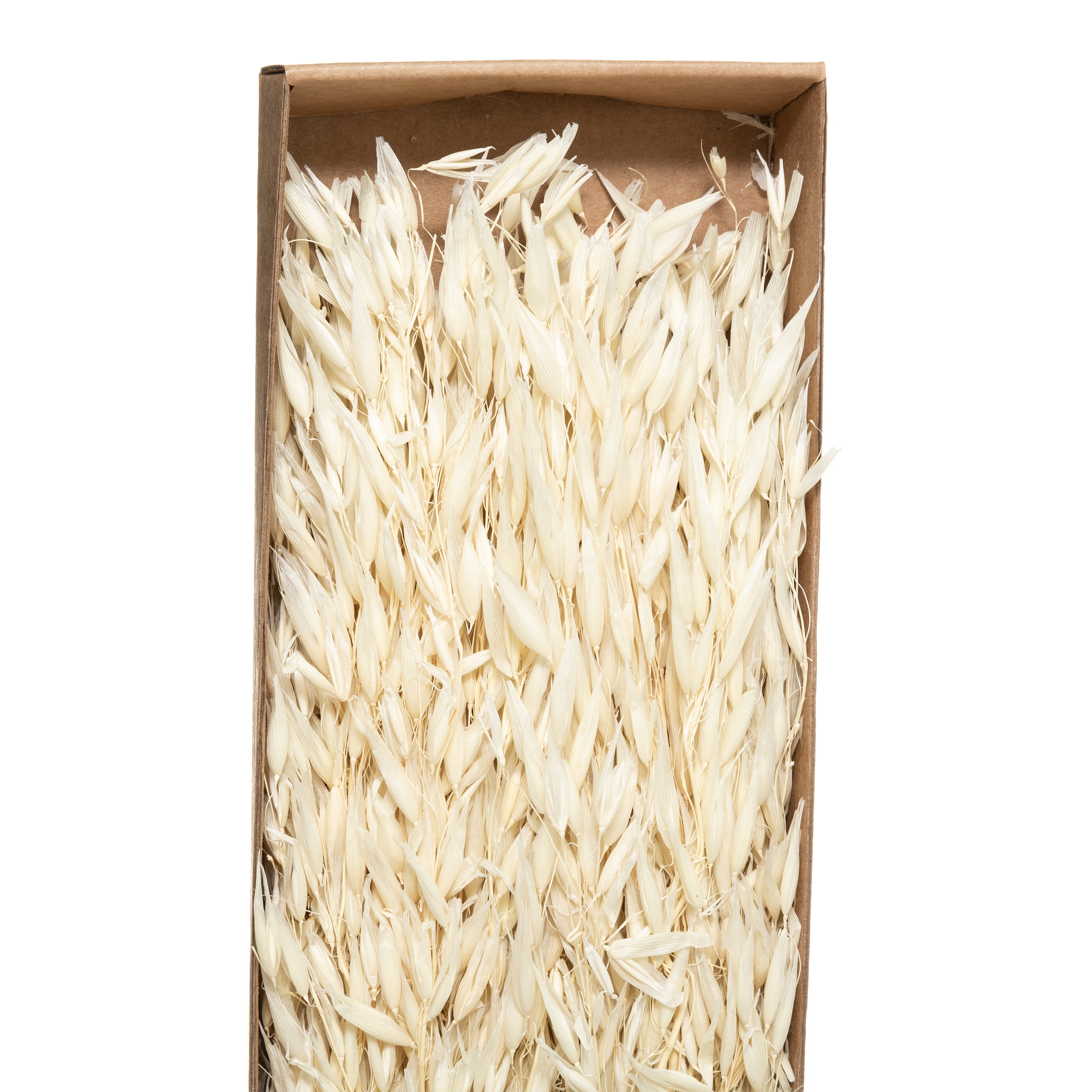 Buchet uscat natur H60 cm - Atmosphera