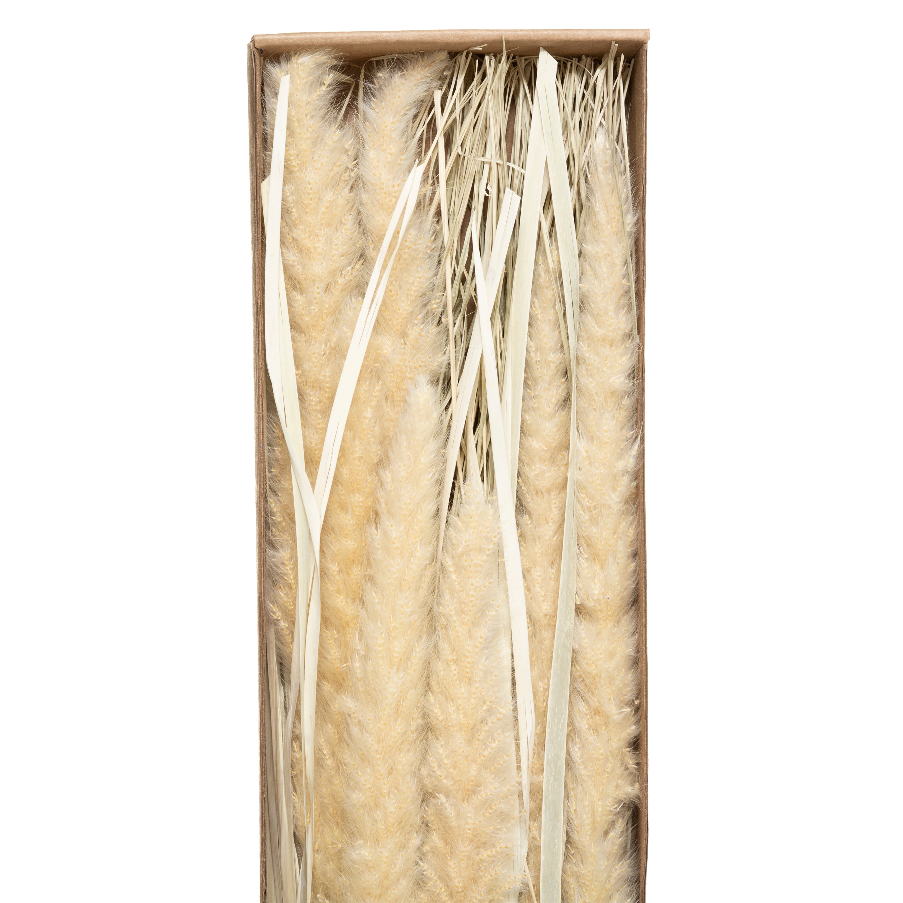 Buchet uscat natur H60 cm - Atmosphera