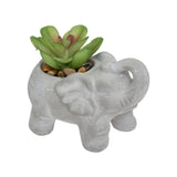 Floare decorativa, elefant cem cu planta H10 cm - Atmosphera