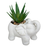 Floare decorativa, elefant cem cu planta H10 cm - Atmosphera