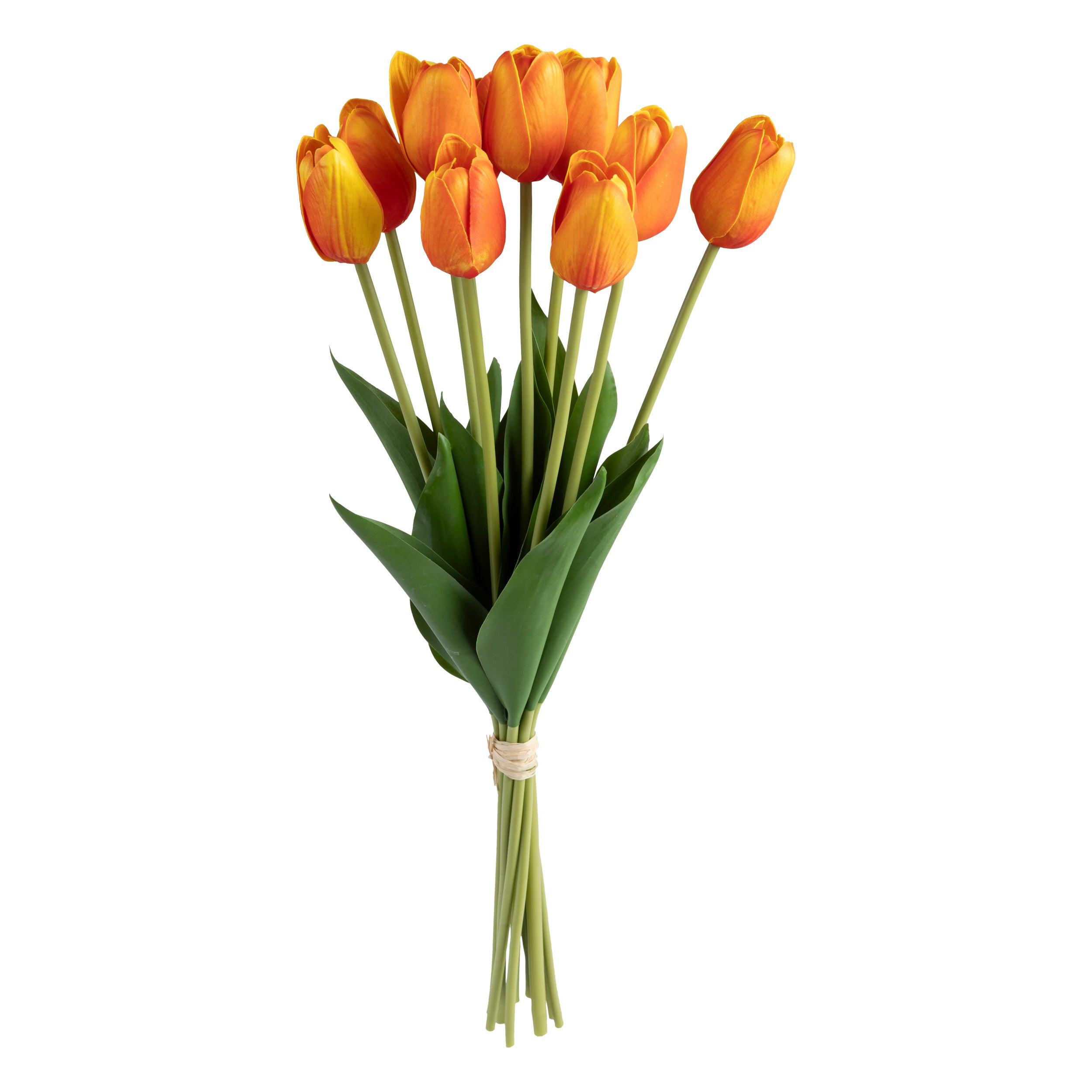 Buchet 10 lalele portocalii james H48 cm - Atmosphera