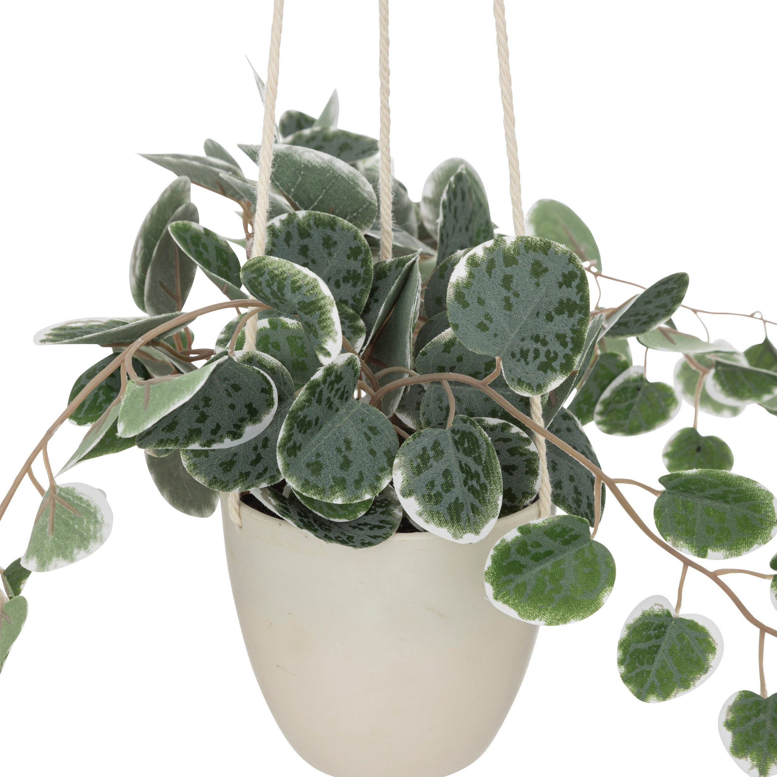 Floare decorativa, planta agatata PP lour H30 cm - Atmosphera