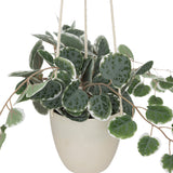 Floare decorativa, planta agatata PP lour H30 cm - Atmosphera