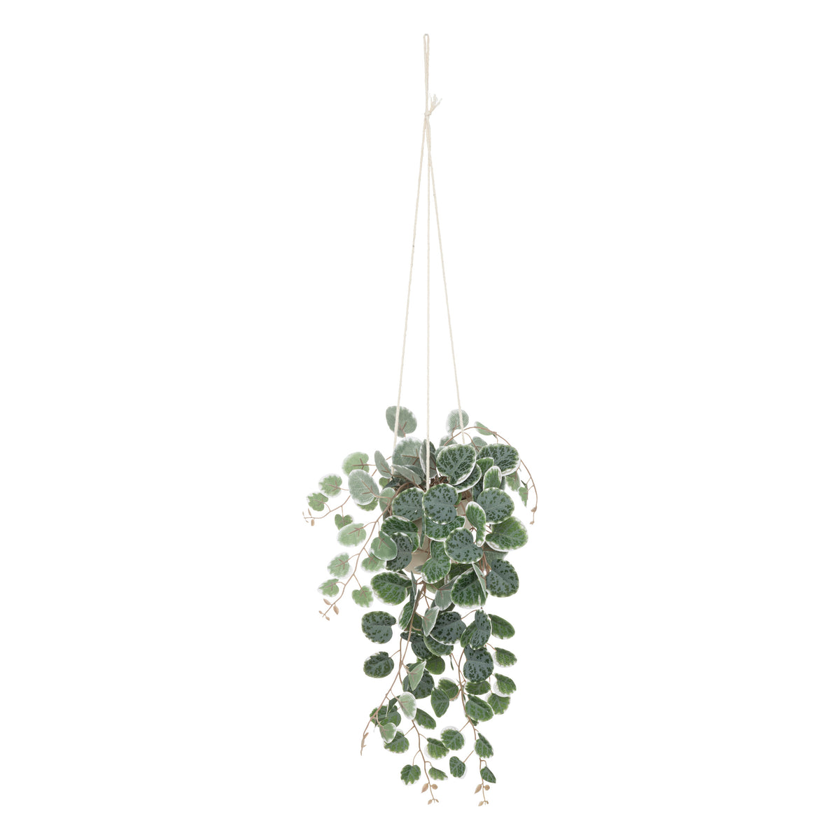 Floare decorativa, planta agatata PP lour H30 cm - Atmosphera