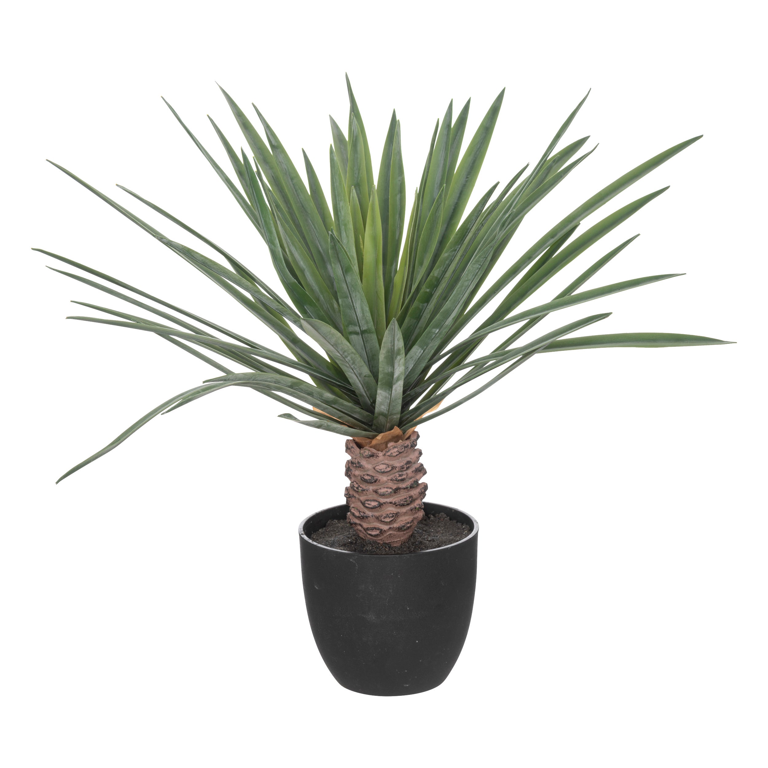 Floare decorativa, copac palmier cu ghiveci rivi H52 cm - Atmosphera