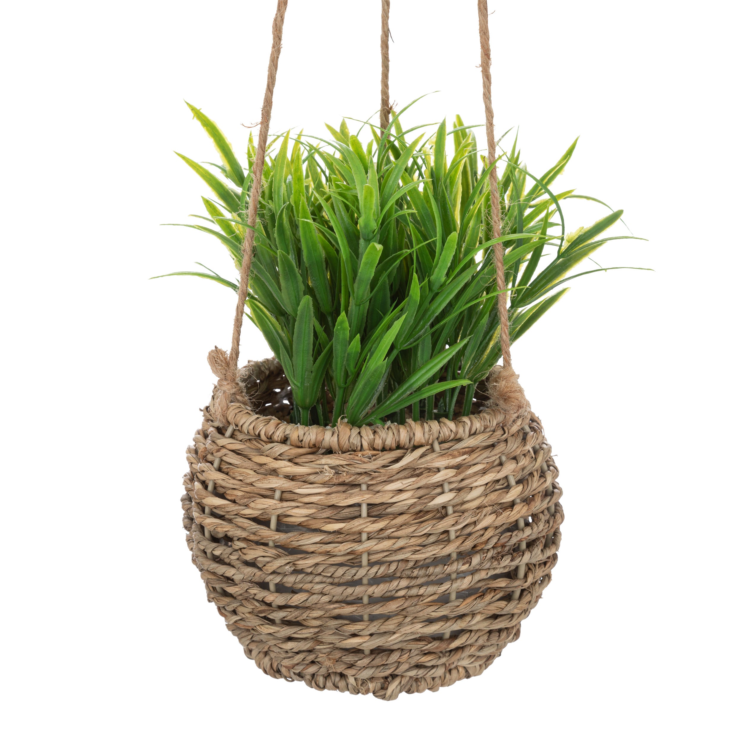 Floare decorativa, plante natur de agatat zoe H17 cm cutie - Atmosphera