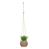Floare decorativa, plante natur de agatat zoe H17 cm cutie - Atmosphera