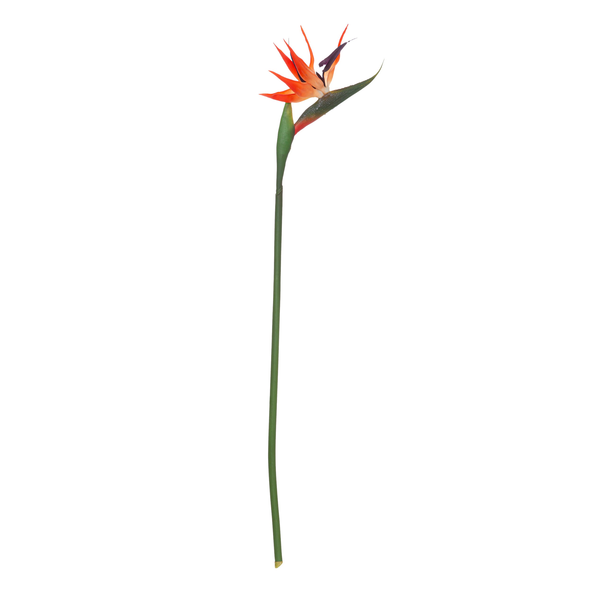 Floare decorativa, tulpina pasarea paradisului H83 cm - Atmosphera