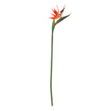 Floare decorativa, tulpina pasarea paradisului H83 cm - Atmosphera