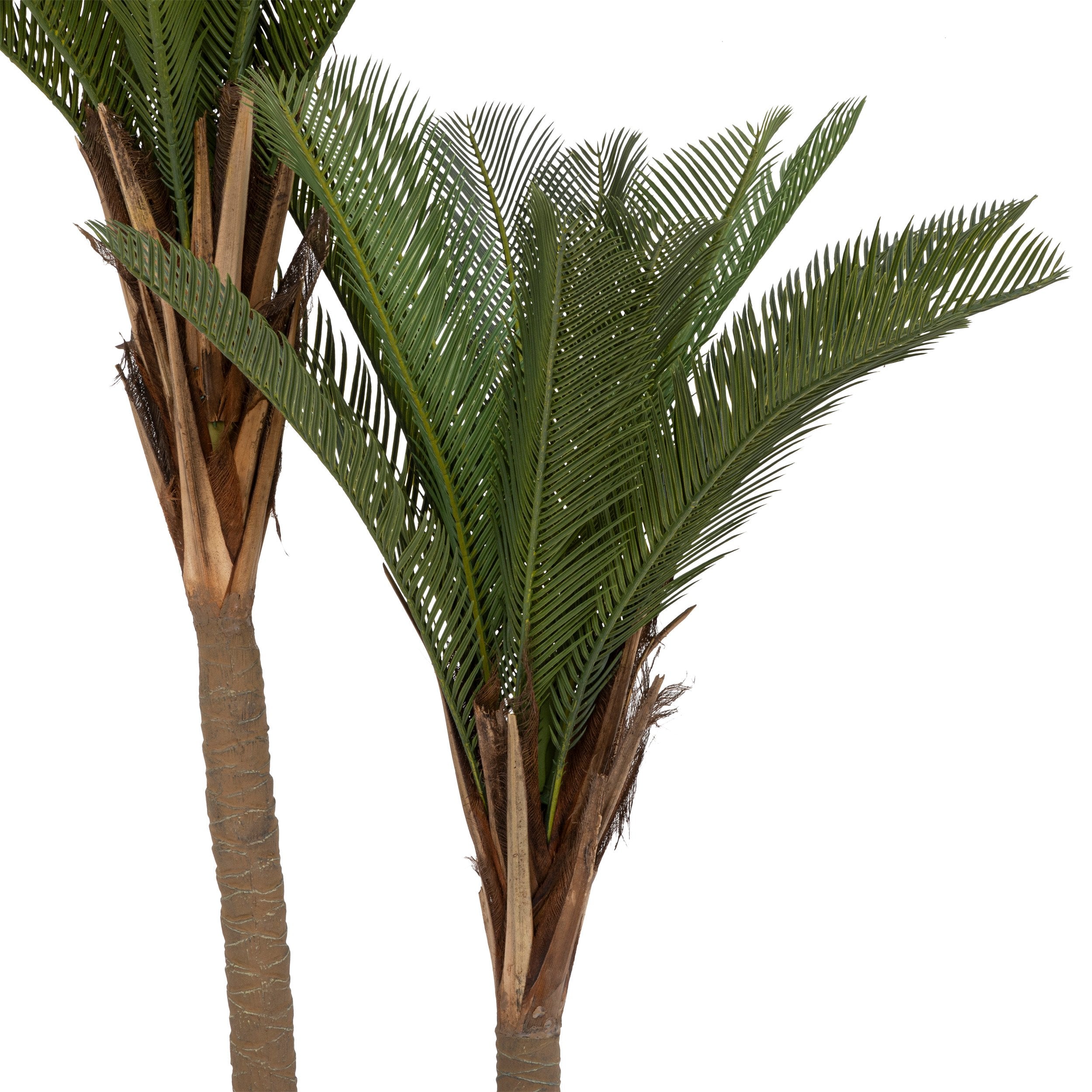 Palmier Tropical Boudoir cu 2 trunchiuri si ghiveci 180 cm inaltime Atmosphera