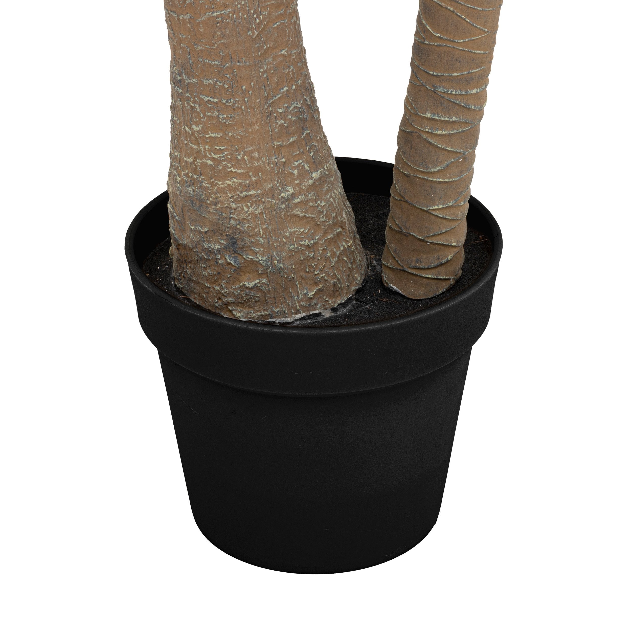 Palmier Tropical Boudoir cu 2 trunchiuri si ghiveci 180 cm inaltime Atmosphera