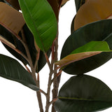 Ghiveci magnolia pl bev H78 cm - Atmosphera