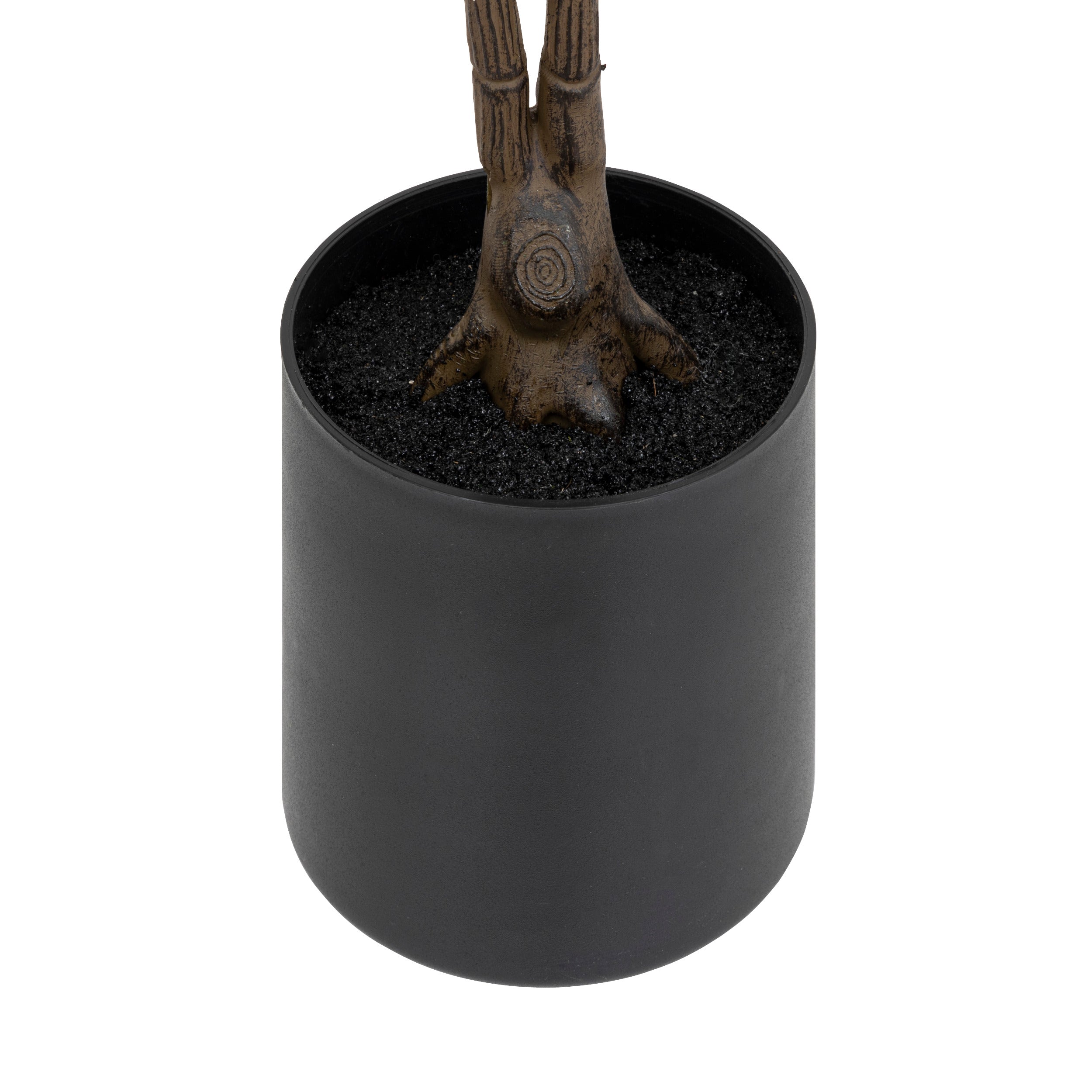Ghiveci magnolia pl bev H78 cm - Atmosphera
