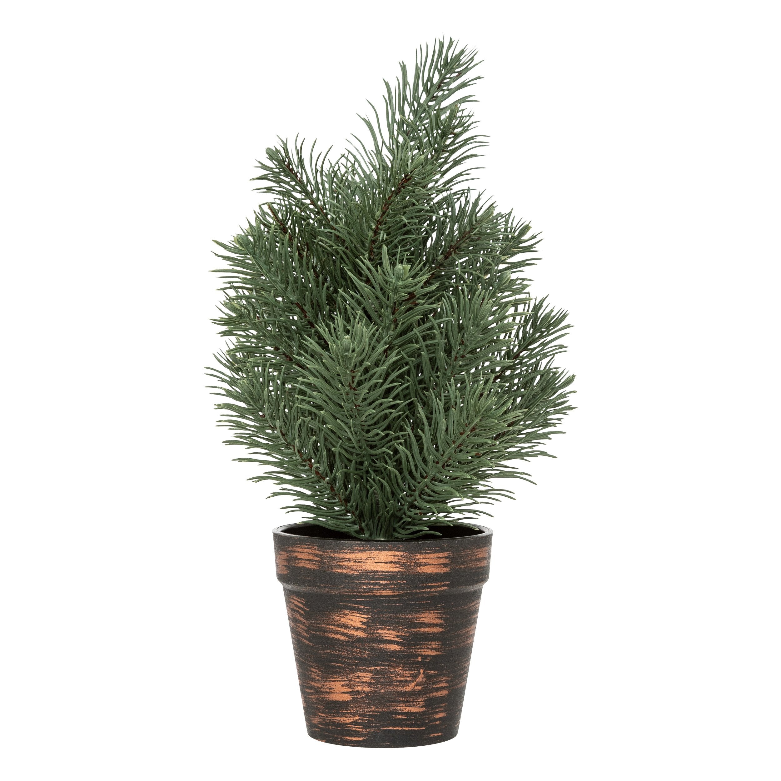 Bradut mini, H 30 cm, asortat | Feeric