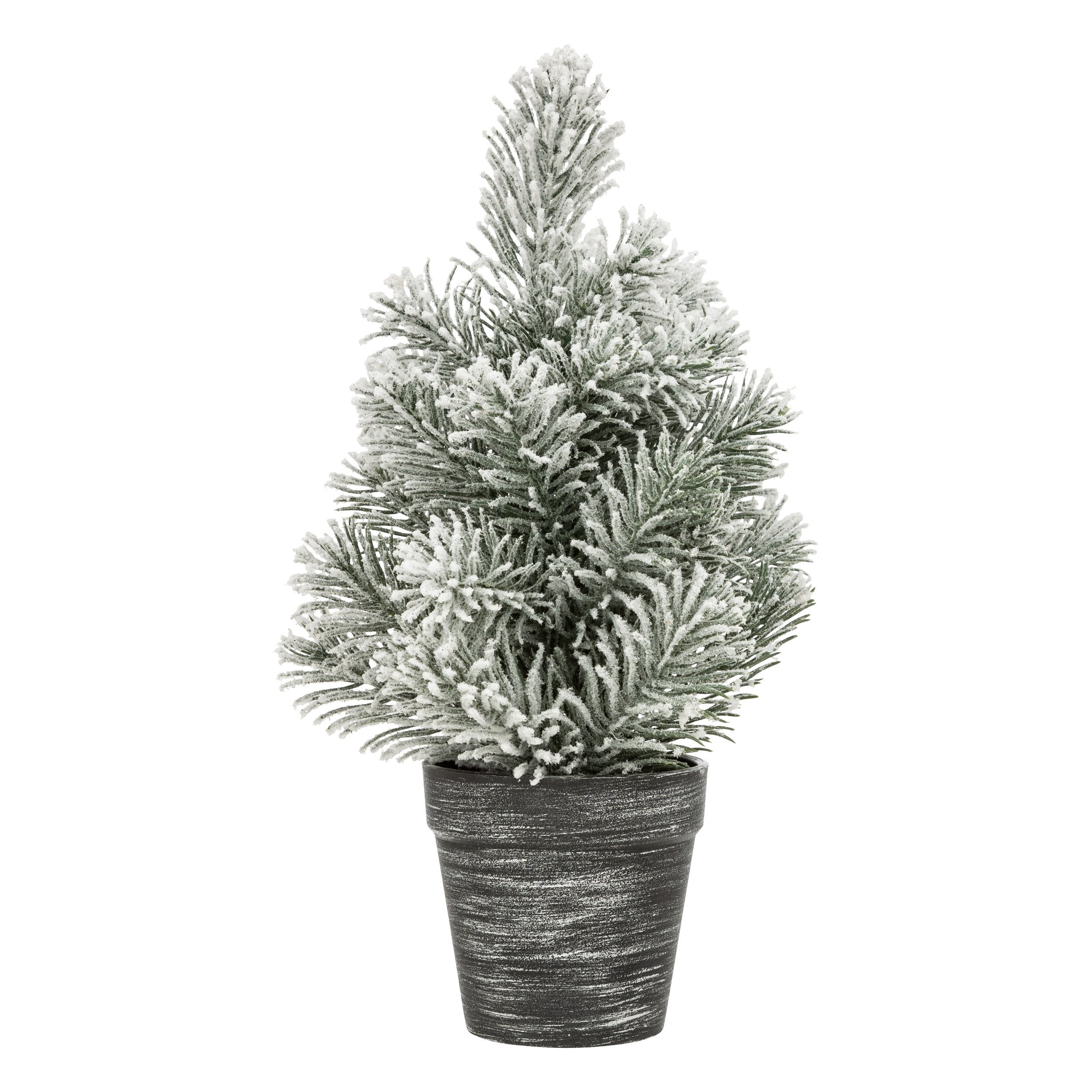 Bradut mini, H 30 cm, asortat | Feeric