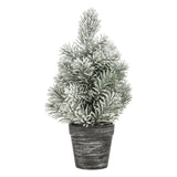 Bradut mini, H 30 cm, asortat | Feeric