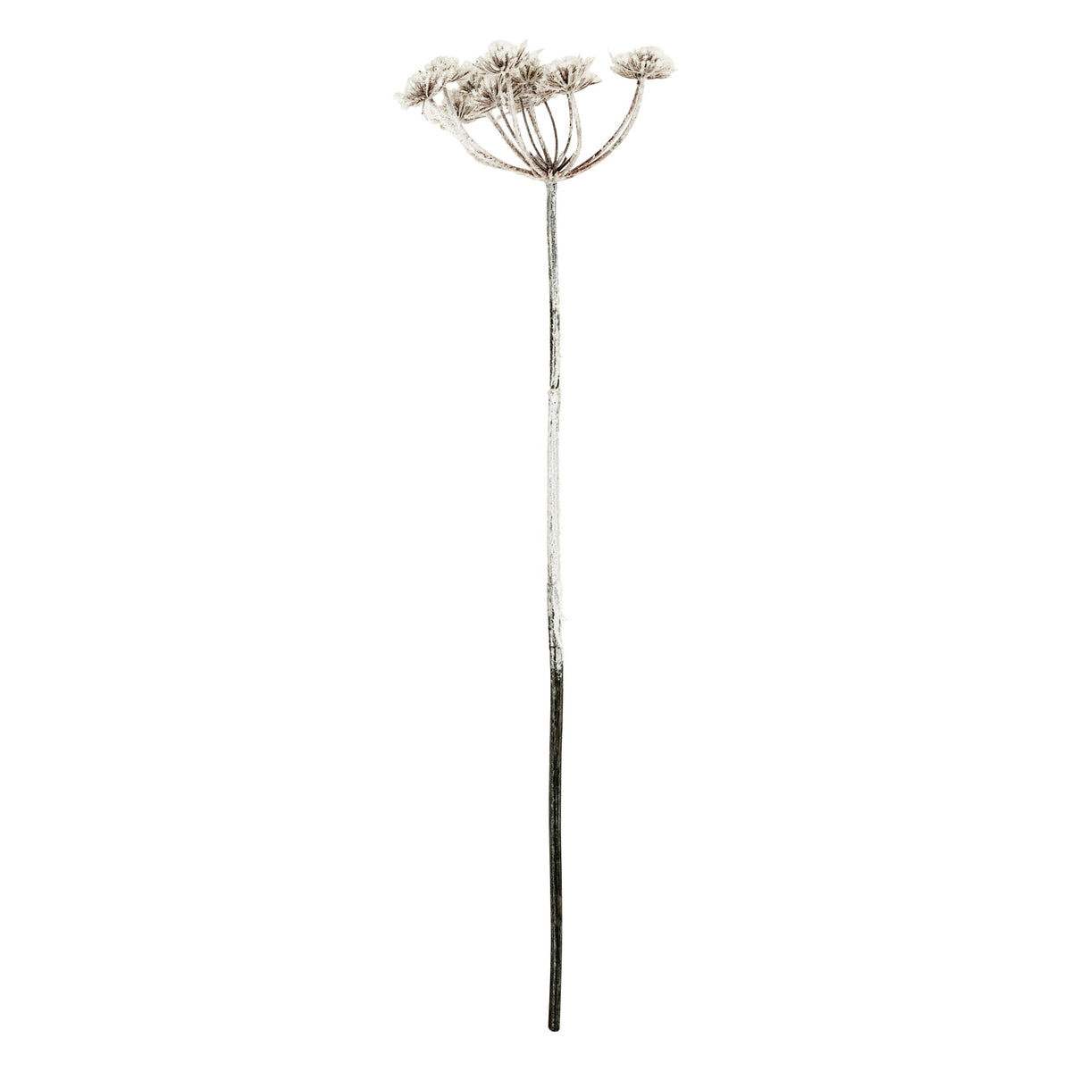 Creanga allium inzapezita, H 98 cm | Atmosphera