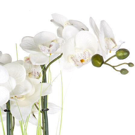 Floare decorativa, orhidee cu ghiveci argintiu - Atmosphera