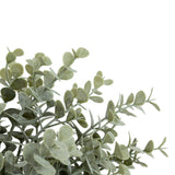 Buchet eucalipt James 30 cm Atmosphera