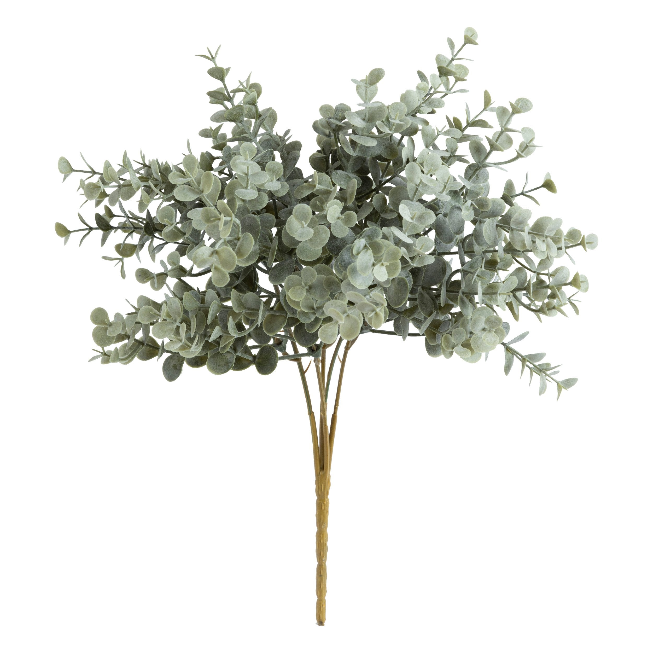Buchet eucalipt James 30 cm Atmosphera