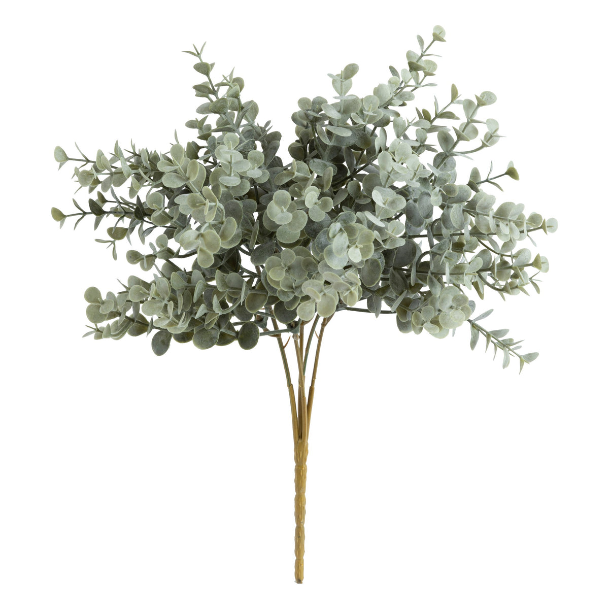 Buchet eucalipt James 30 cm Atmosphera