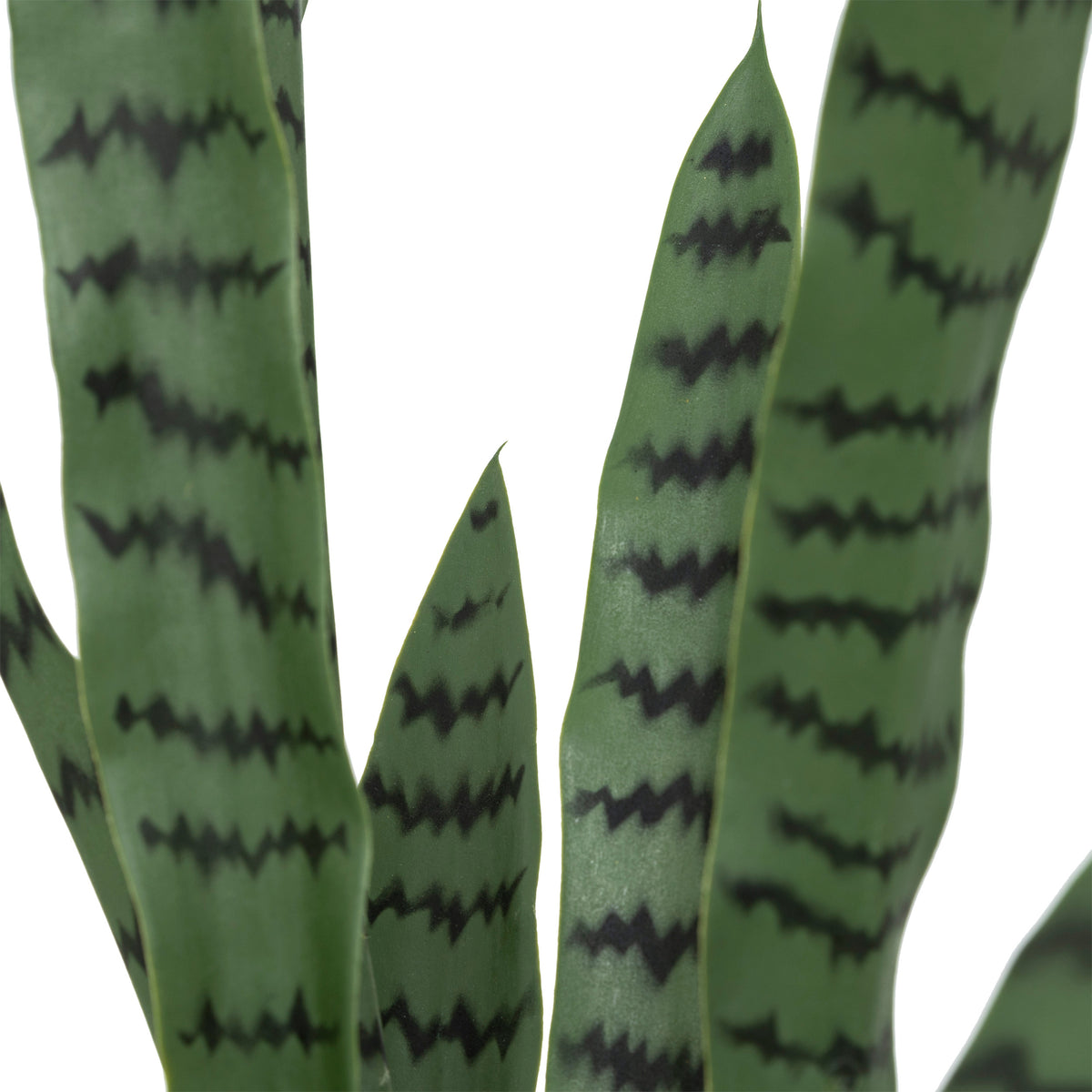Floare decorativa, sansevieria ghiveci plastic toby H90 cm - Atmosphera